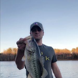 Meet your Posher, Bo